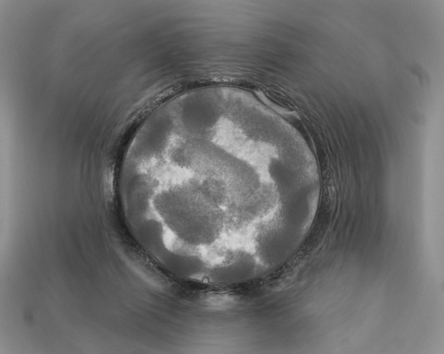 X0000113050262200909241501