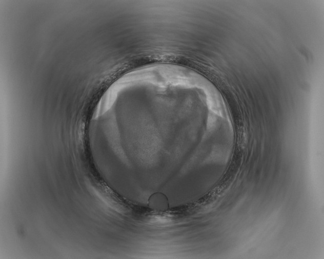 X0000113050263200909241501