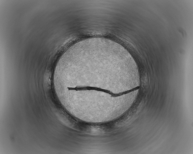 X0000113050264200909241501