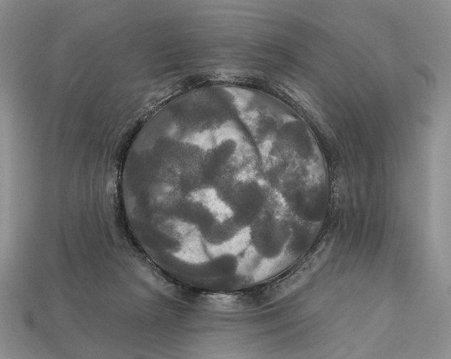 X0000113050265200909241501