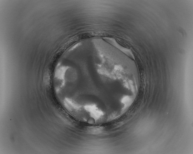 X0000113050266200909241501