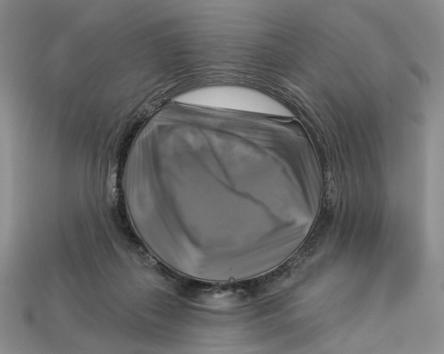 X0000113050267200909241501