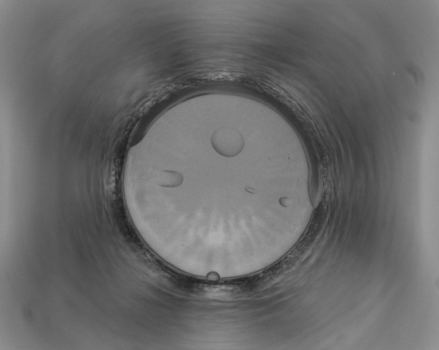 X0000113050268200909241501