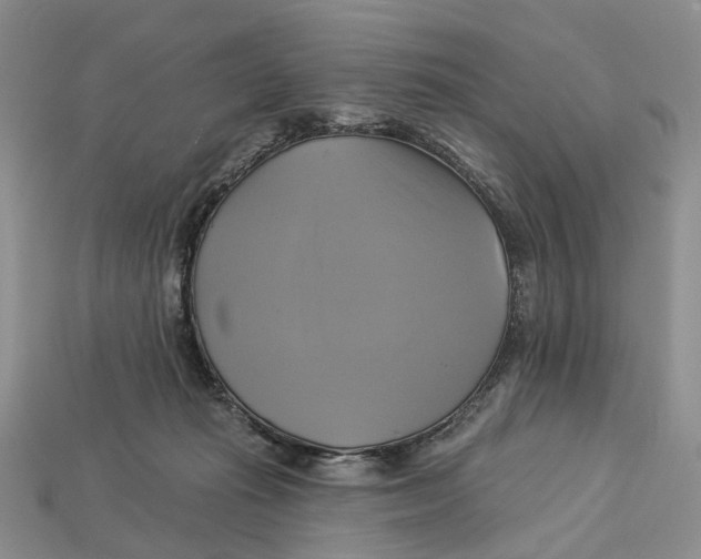 X0000113050269200909241501