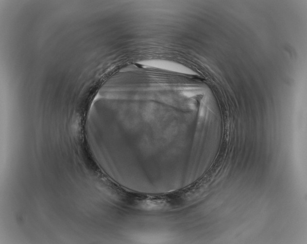 X0000113050270200909241501