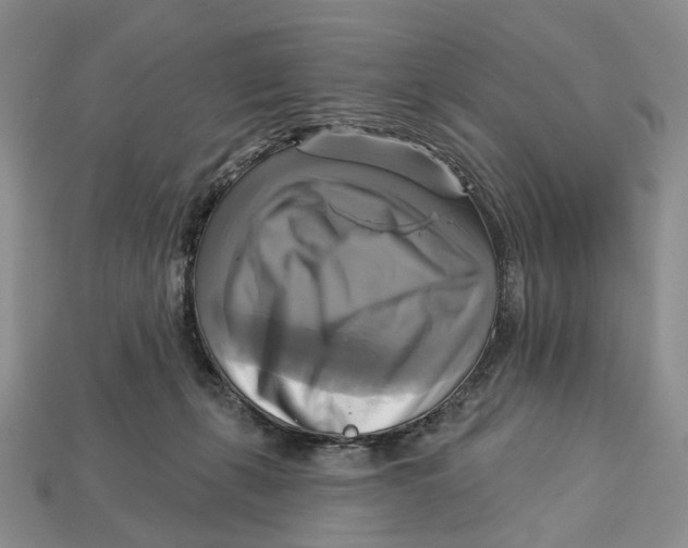 X0000113050271200909241501