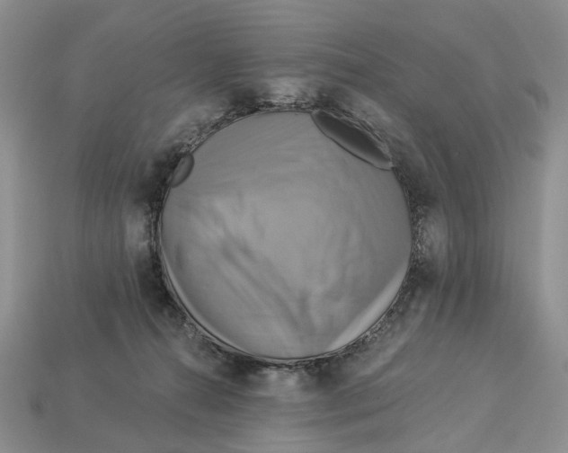 X0000113050272200909241501