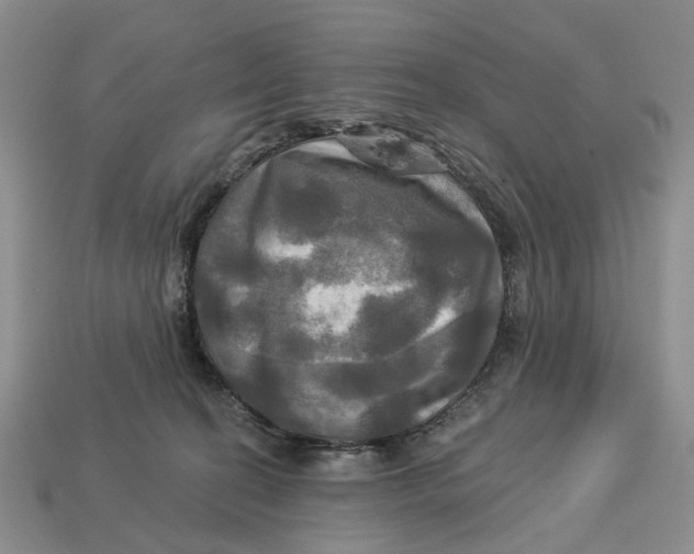 X0000113050274200909241501