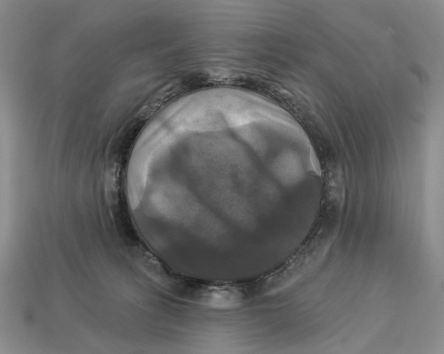X0000113050275200909241501