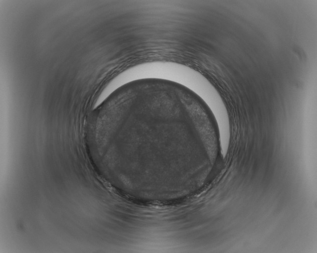 X0000113050276200909241501