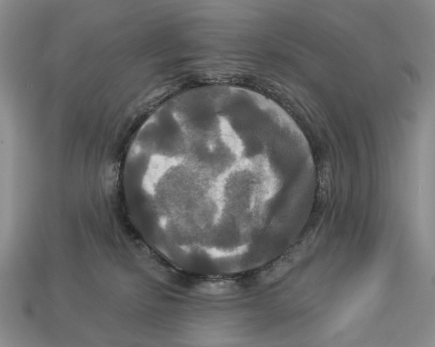 X0000113050278200909241501
