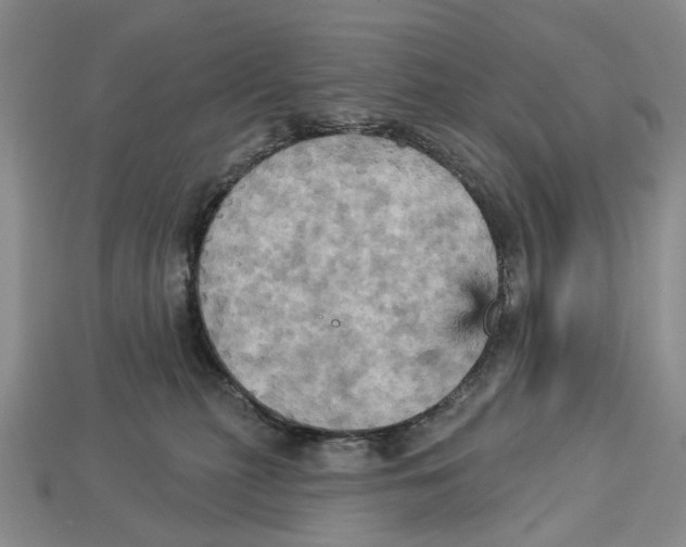 X0000113050279200909241501