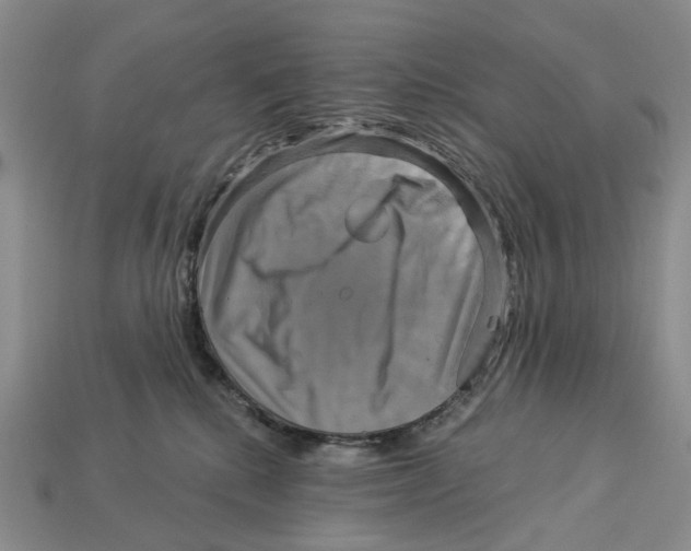 X0000113050280200909241501