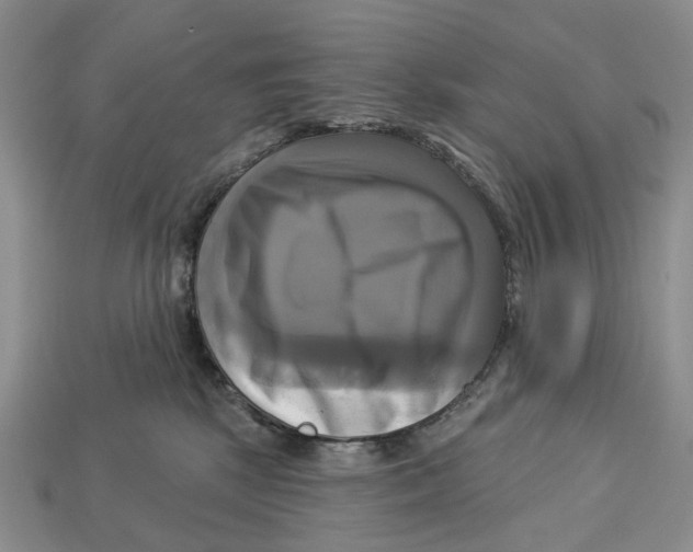 X0000113050281200909241501