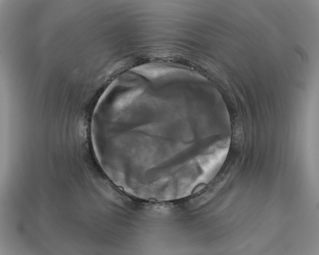 X0000113050282200909241501