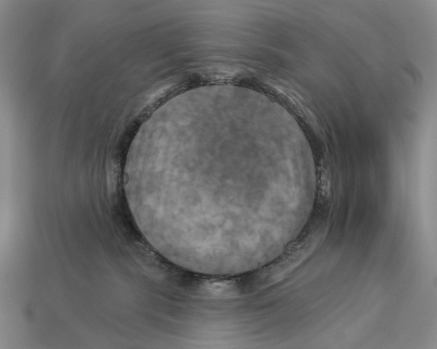 X0000113050283200909241501