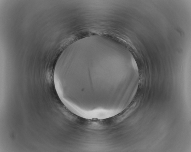 X0000113050285200909241501