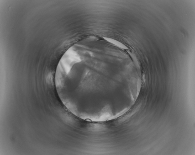 X0000113050286200909241501