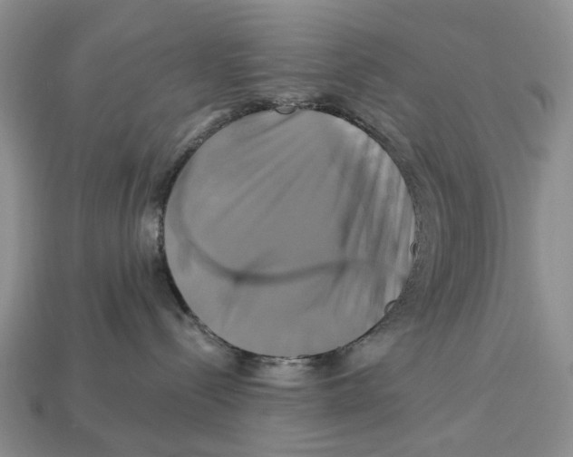 X0000113050288200909241501