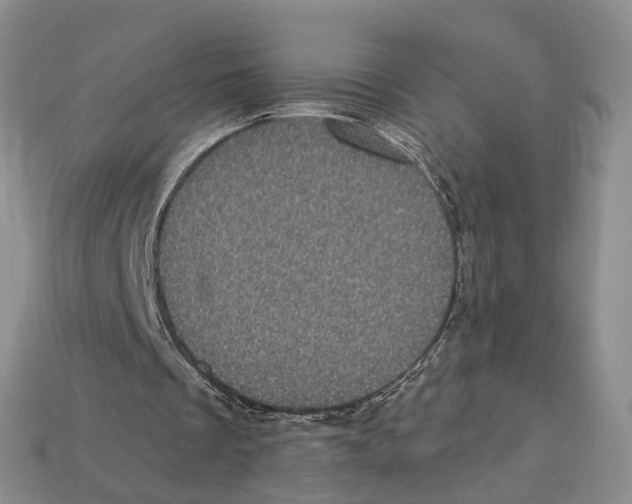 X0000113050289200909241501