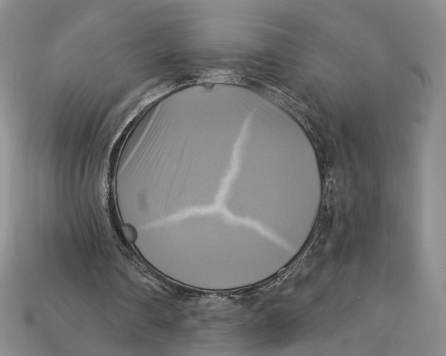 X0000113050290200909241501