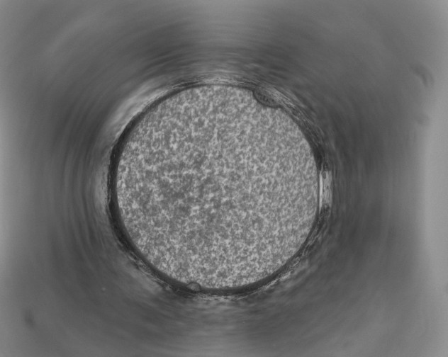 X0000113050291200909241501