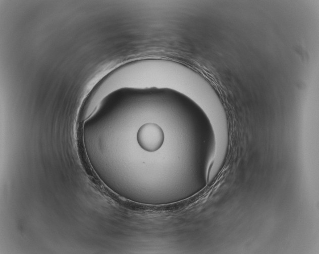 X0000113050292200909241501