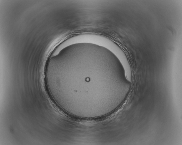 X0000113050293200909241501