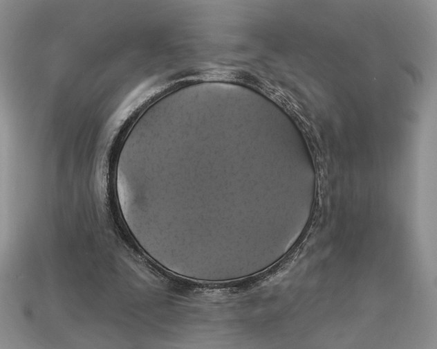 X0000113050295200909241501
