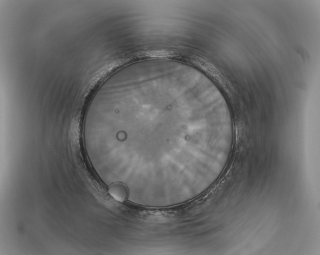 X0000113050297200909241501