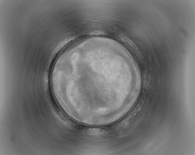 X0000113050298200909241501