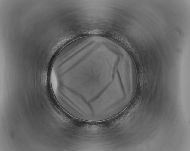 X0000113050299200909241500
