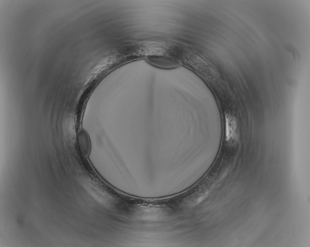X0000113050300200909241500