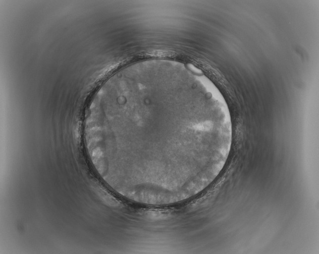 X0000113050305200909241500