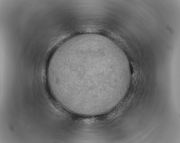 X0000113050306200909241500