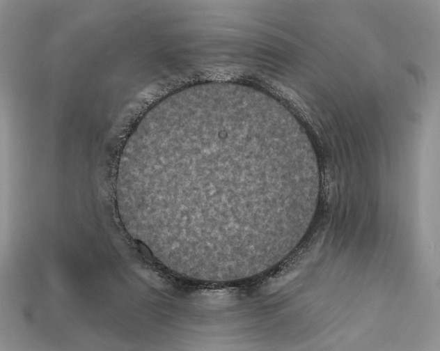 X0000113050307200909241500