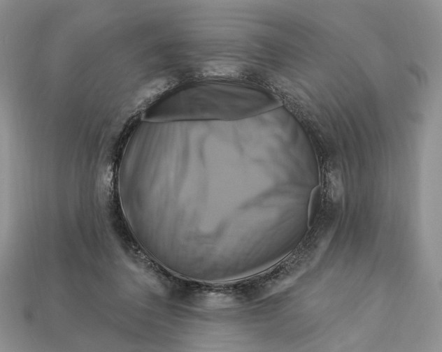X0000113050308200909241500
