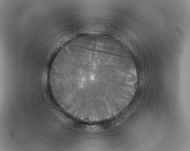 X0000113050309200909241500