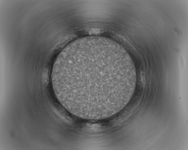 X0000113050311200909241500
