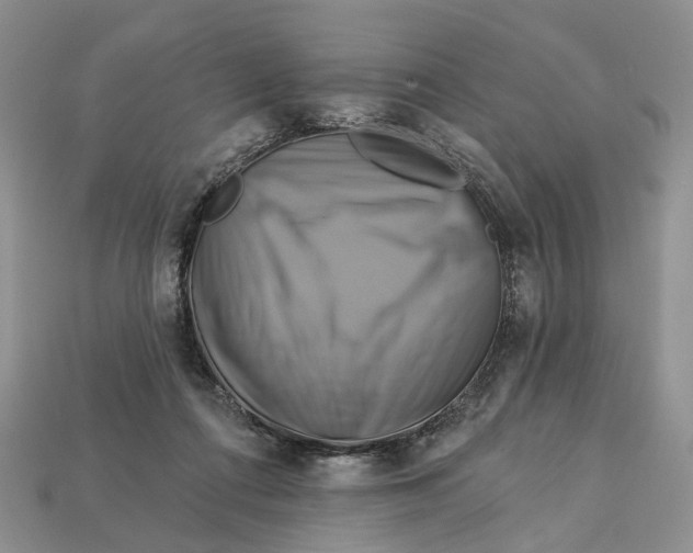 X0000113050312200909241500
