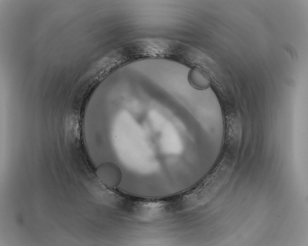 X0000113050313200909241500