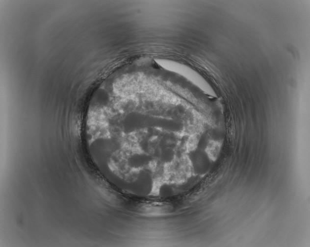 X0000113050315200909241500