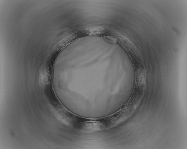 X0000113050316200909241500