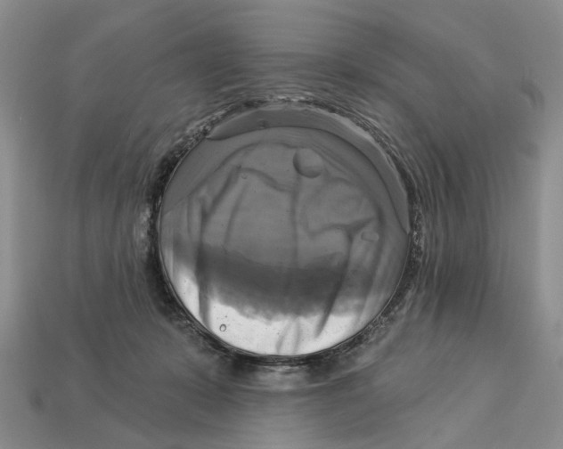 X0000113050319200909241500