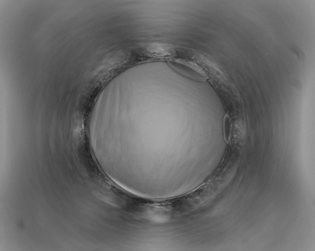 X0000113050320200909241500
