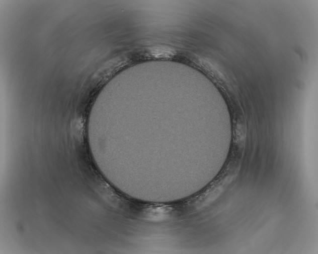 X0000113050321200909241500