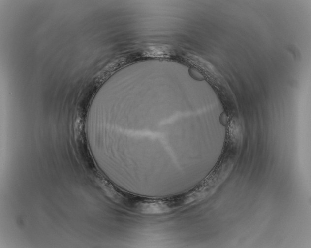 X0000113050322200909241500