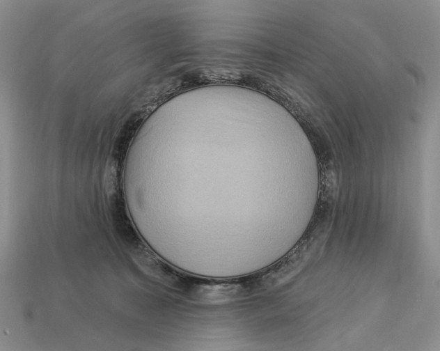 X0000113050323200909241500