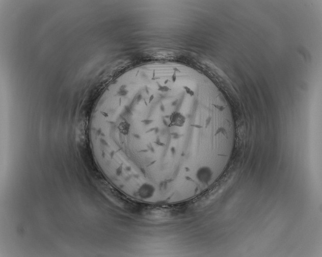 X0000113050325200909241500