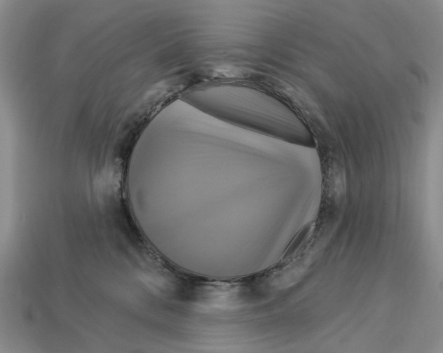 X0000113050328200909241500